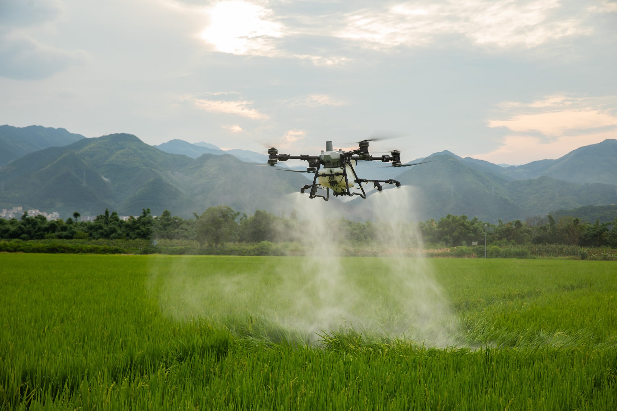 dji-agras-t100-field-spreaying