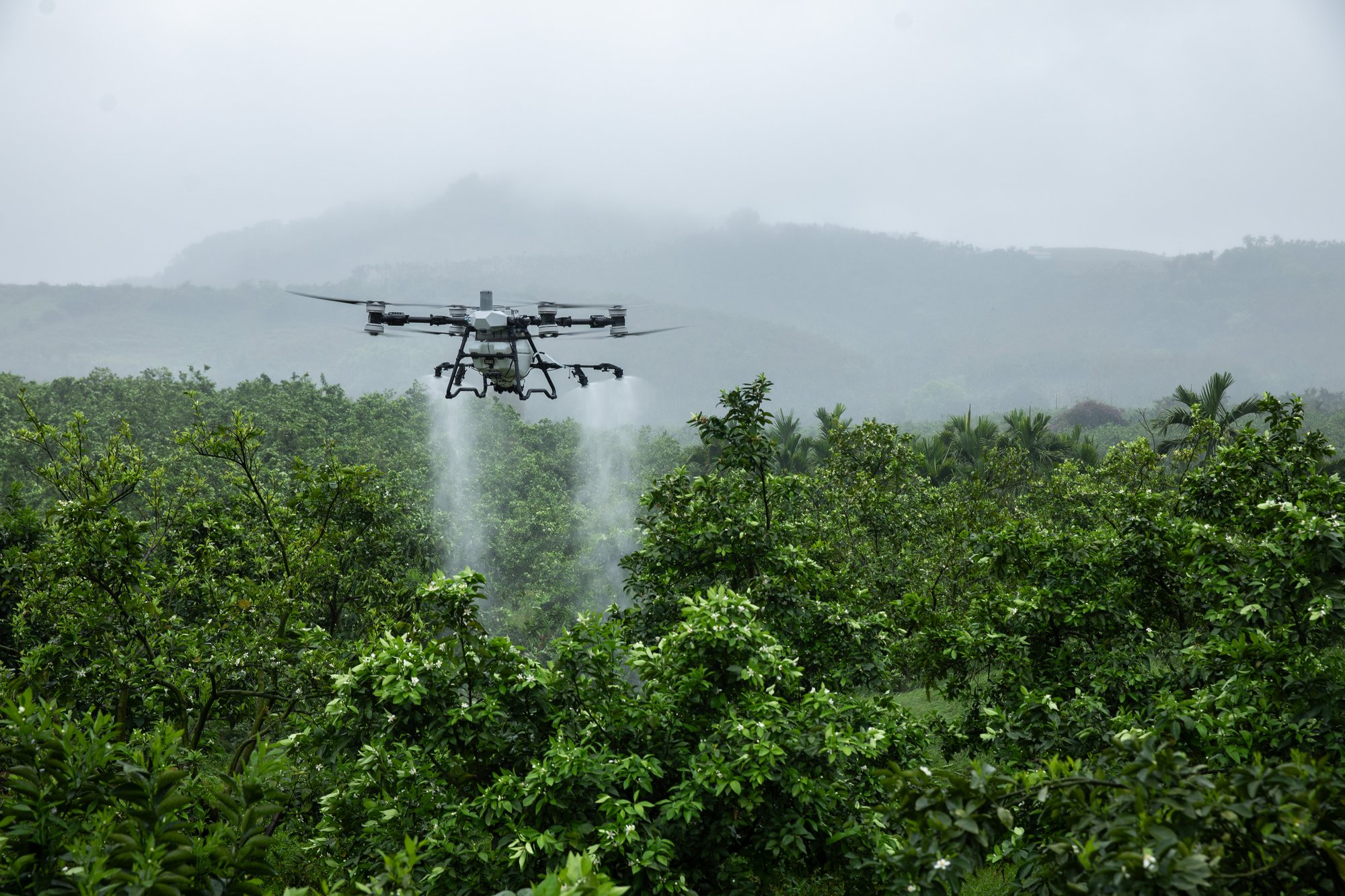 agras-t100-fruit-tree-spraying