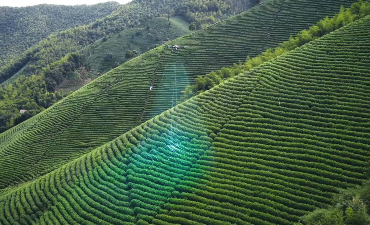 t50-drone-mapping